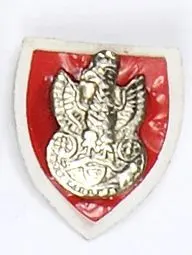 Odznaka patriotyczna z orzełkiem 