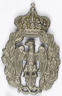 Odznaka czapkowa(?) 