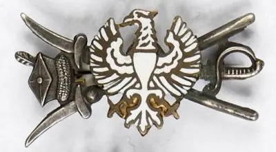 Broszka patriotyczna z orłem 