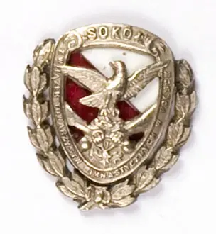 Odznaka honorowa Związku Towarzystw Gimnastycznych w Polsce 