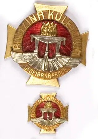 Odznaka organizacyjna 