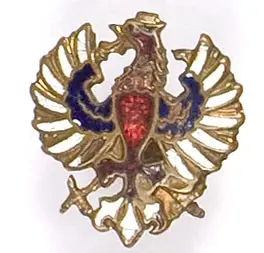 Odznaka patriotyczna w formie emaliowanego orzełka