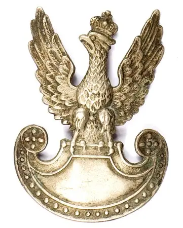 Orzełek czapkowy
