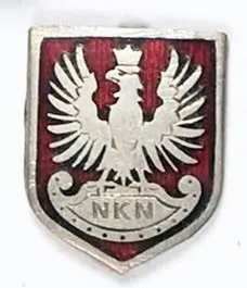 Odznaka organizacyjna NKN