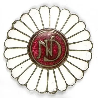 Odznaka organizacyjna 