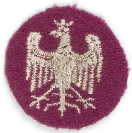 Orzełek hallerowski