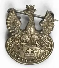 Orzełek patriotyczny z koroną na tarczy amazonek