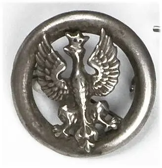 Broszka patriotyczna