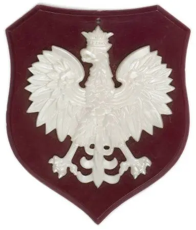 Ryngraf patriotyczny Polskiego Kongresu w USA