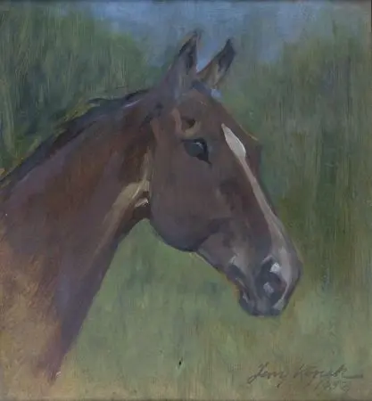 Głowa konia