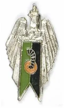 Miniatura odznaki pamiątkowa 2 pułku artylerii motorowej