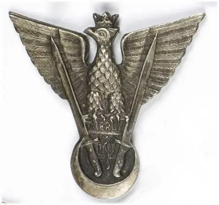 Odznaka pamiątkowa Samodzielnej Brygady Strzelców Karpackich