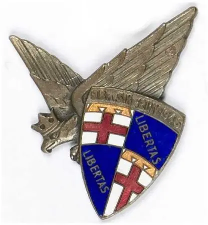 Odznaka pamiątkowa 9 Batalionu Strzelców Karpackich