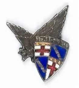 Miniatura odznaki pamiątkowej 9 Batalionu Strzelców Karpackich