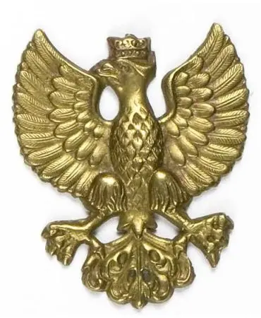 Orzełek wielkopolski