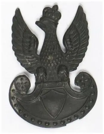 Orzełek furażerkowy