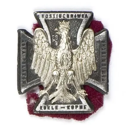 Odznaka pamiątkowa 6 pułku piechoty