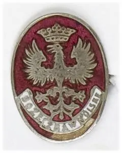 Odznaka patriotyczna NKN