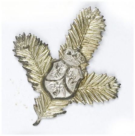 Odznaka patriotyczna