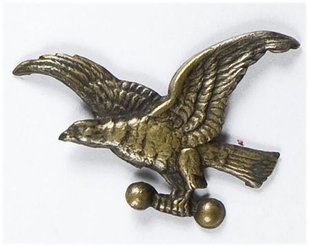 Odznaka organizacyjna Sokoła