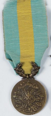 Medal francuski Za Górny Śląsk 1921