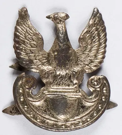 Orzełek z gładką tarczką wewnętrzną