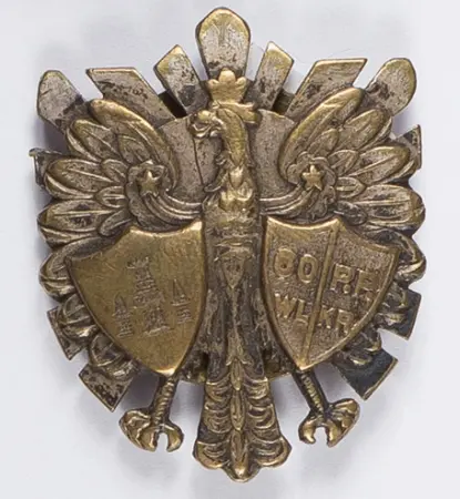 Odznaka 60 Pułk Piechoty