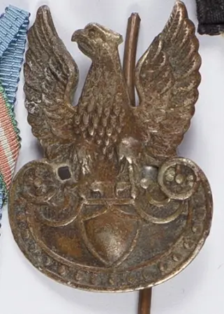 Orzełek furażerkowy