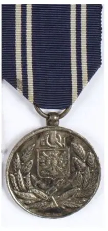 Medal Polska Swemu Obrońcy - medal morski