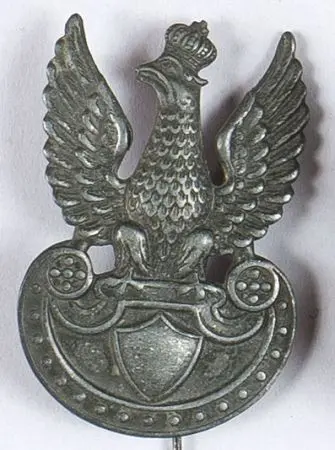 Orzełek furażerkowy
