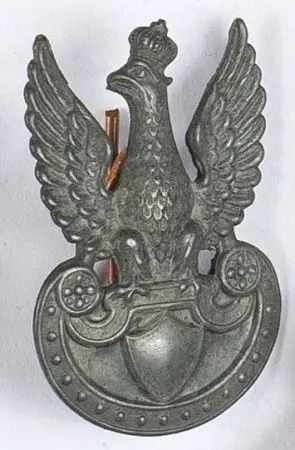 Orzełek furażerkowy