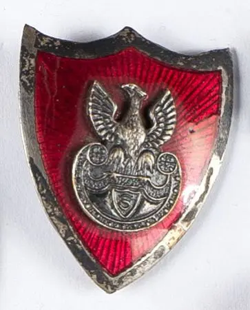 Odznaka Związek Strzelecki