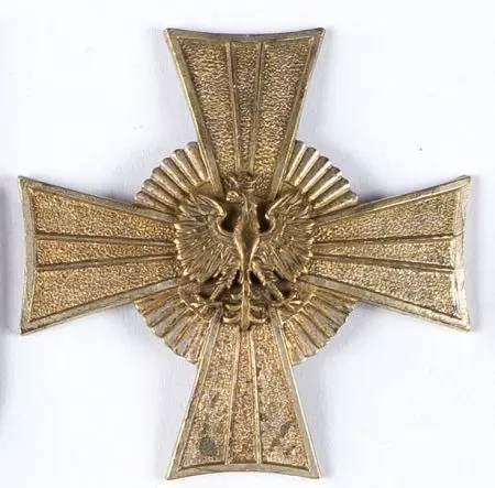 Odznaka 24 Pułku Ułanów 1 Dpanc.