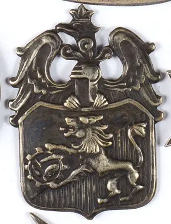 6 Lwowska Dywizja Piechoty