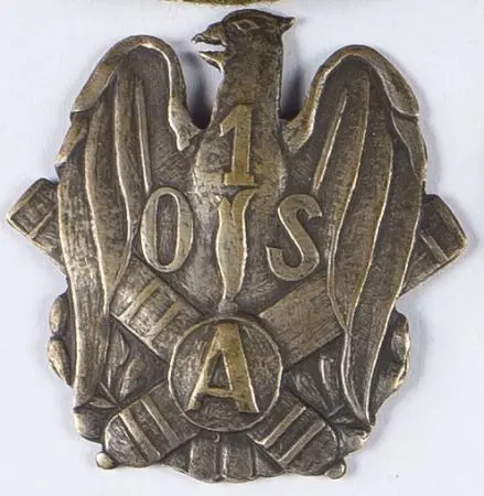 Odznaka 1 Oficerska Szkoła Artylerii