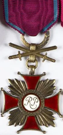 Złoty Krzyż Zasługi z Mieczami