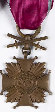 Brązowy Krzyż Zasługi z mieczami