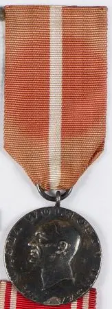 Medal Za Waszą Wolność i Naszą 1956 r.