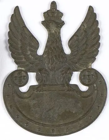 Orzeł z gładką tarczą amazonek