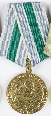 Order Za obronę Kręgu polarnego