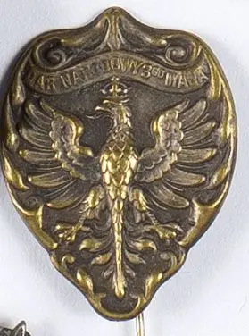 Wpinka z orzełkiem Dar Narodowy 3-go Maja