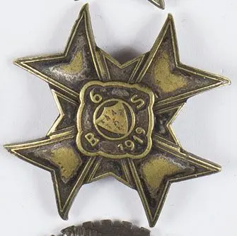 Odznaka 6 Batalion Sanitarny Lwów