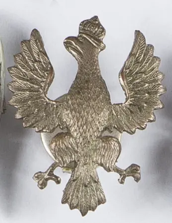 Orzeł państwowy wzór 19