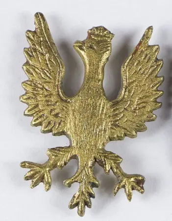 Orzeł
