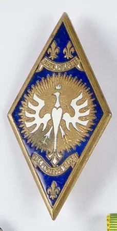 14 Pułk Kirasjerów francuskich