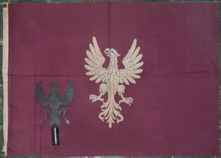 Polskie Organizacje w USA