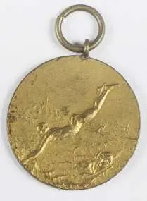 Medalik nagrodowy strzelecki KOZIENICE