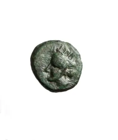 TRACJA-OLBIA (kolonia MILETU nad M. Czarnym) AE 12 (dichalk) IV p.n.e.