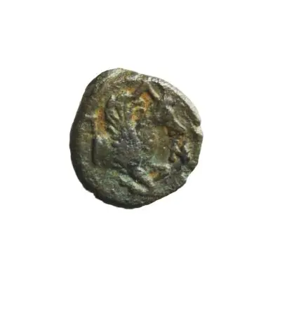 TRACJA-PANTIKAPAION (kolonia Miletu nad cieśniną Kerczeńską) AE 14 IV p.n.e. (dichalk)