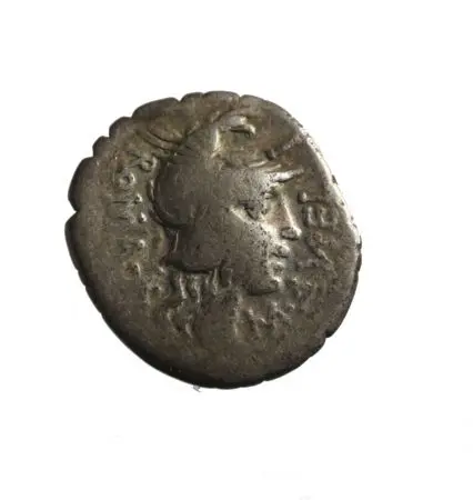 RZYM-REPUBLIKA - Magistrat Narbo (118 p.n.e.) AR-denar
